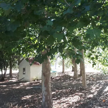 Villa Dunes 350m From The Sandy Kalogria (Achaea)