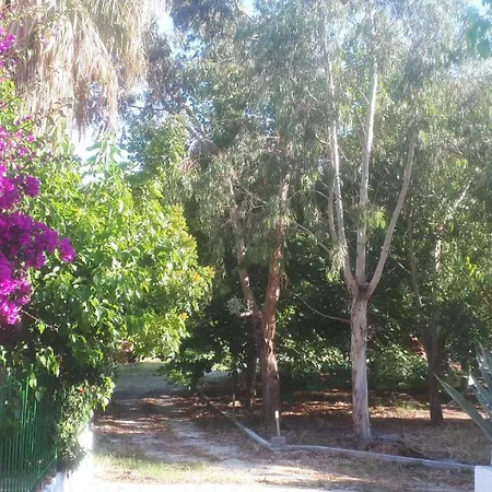 Dunes 350m From The Sandy * Kalogria (Achaea)