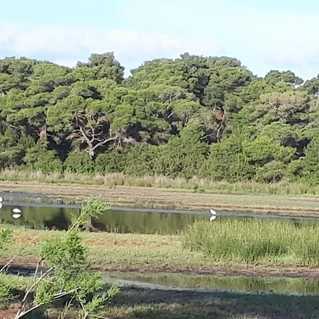 Dunes 350m From The Sandy Kalogria (Achaea)