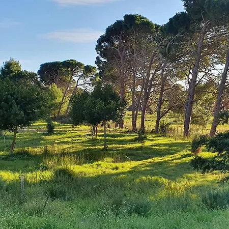 Dunes 350m From The Sandy *