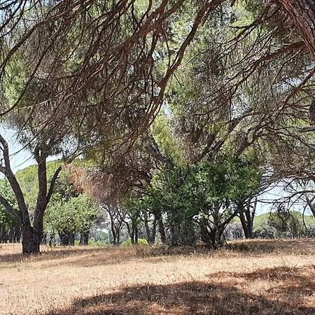 Dunes 350m From The Sandy *