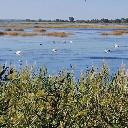 Dunes 350m From The Sandy * Kalogria (Achaea)