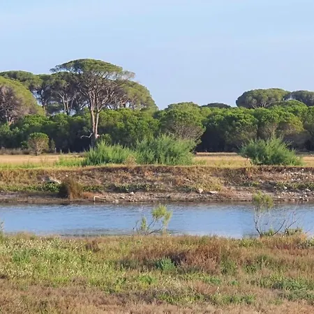 Villa Dunes 350m From The Sandy