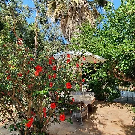 Villa Dunes 350M From The Sandy Beach Villa *