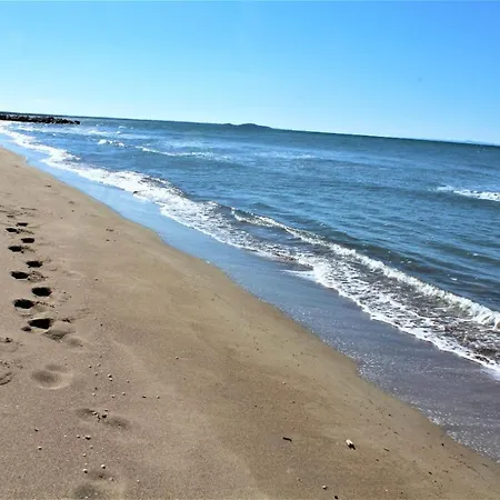 Dunes 350m From The Sandy Kalogria (Achaea)