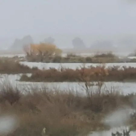 Dunes 350m From The Sandy