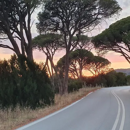 Dunes 350m From The Sandy *