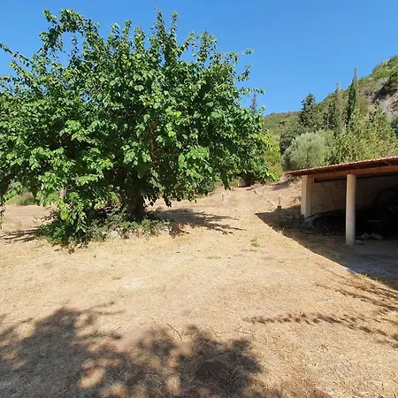 Dunes 350m From The Sandy Willa Kalogria (Achaea)