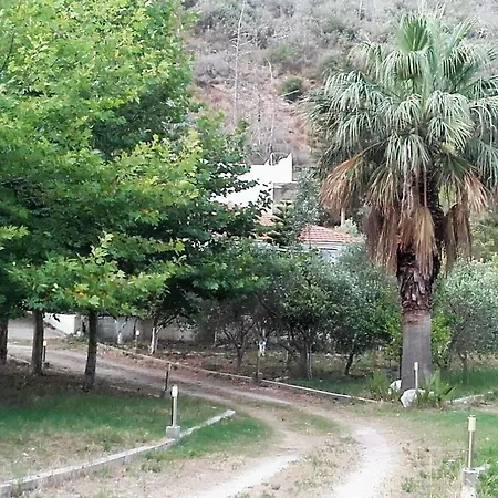 Villa Dunes 350M From The Sandy Beach