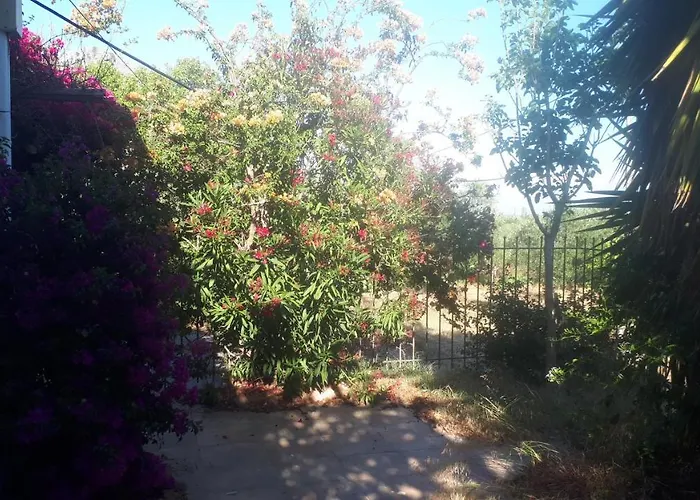 Dunes 350m From The Sandy فيلة كالوغريا