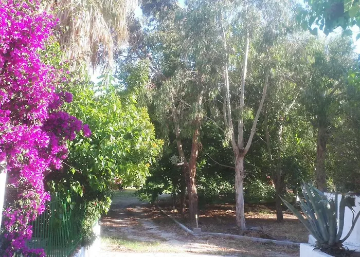 Dunes 350m From The Sandy * كالوغريا