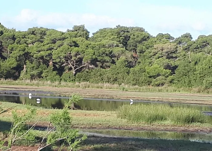 Dunes 350m From The Sandy كالوغريا