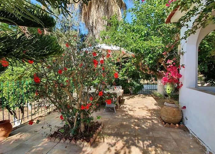 Dunes 350m From The Sandy *