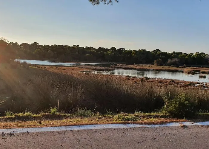 Dunes 350m From The Sandy * كالوغريا