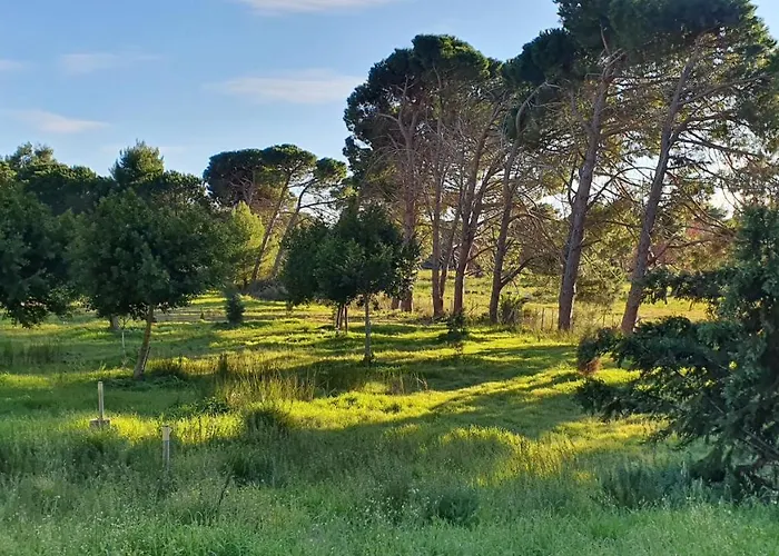 Dunes 350m From The Sandy *