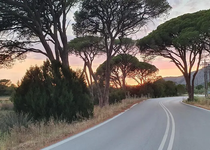 فيلة Dunes 350m From The Sandy كالوغريا