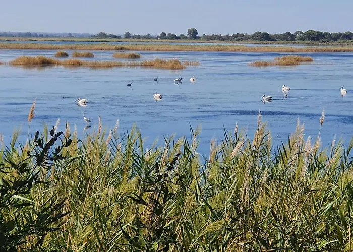 Dunes 350m From The Sandy * كالوغريا
