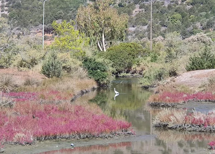 Dunes 350m From The Sandy فيلة