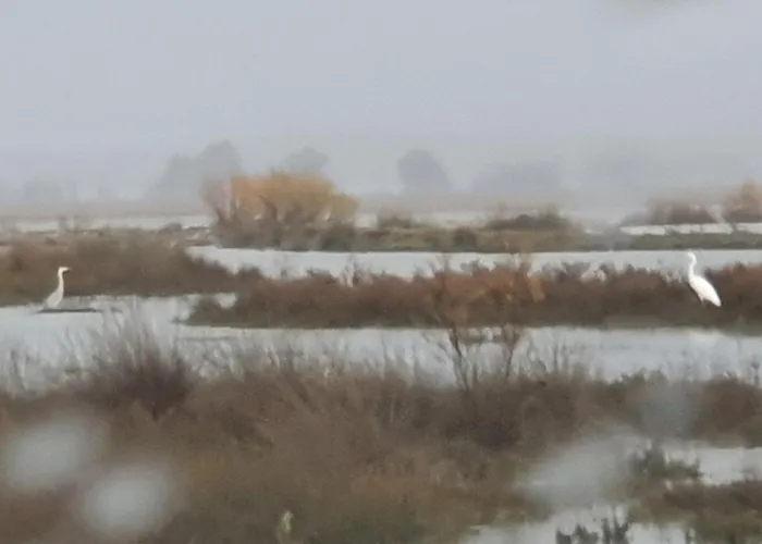 Dunes 350m From The Sandy