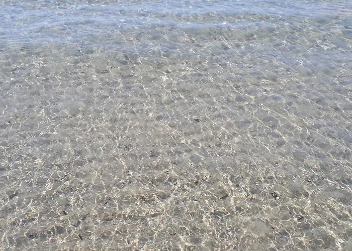 Dunes 350m From The Sandy كالوغريا