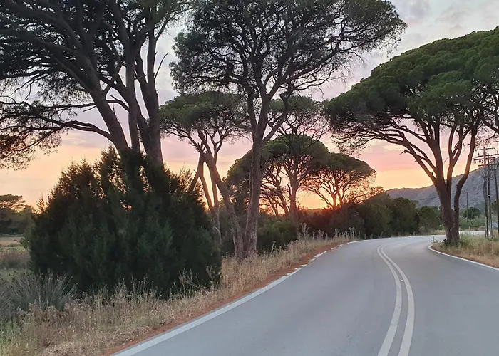 Dunes 350m From The Sandy *