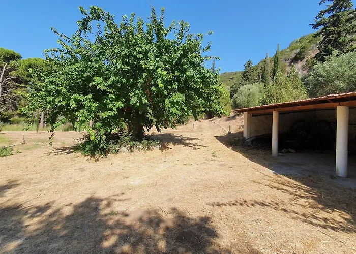 Dunes 350m From The Sandy فيلة كالوغريا