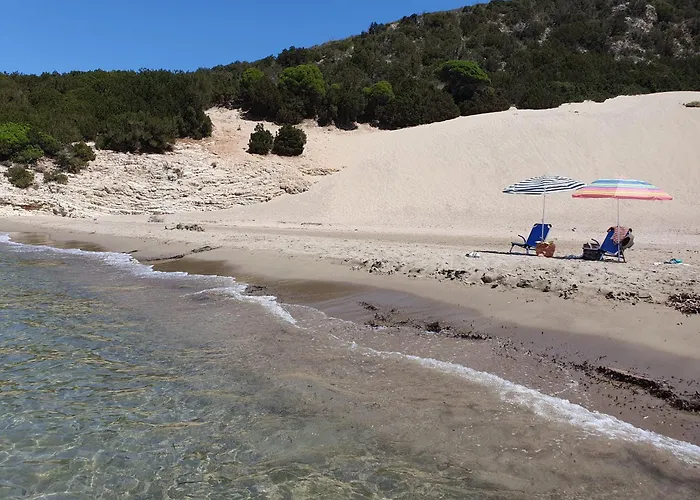 Dunes 350m From The Sandy *