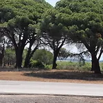 Villa Dunes 350M From The Sandy Beach