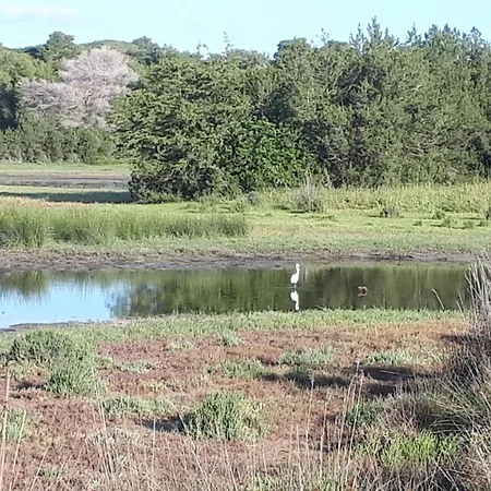 Dunes 350m From The Sandy