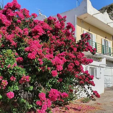 Villa Dunes 350m From The Sandy Kalogria (Achaea)