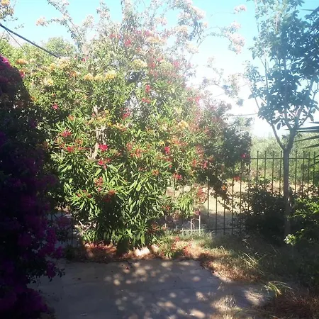Dunes 350m From The Sandy Vila Kalogria (Achaea)