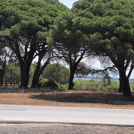 Dunes 350m From The Sandy