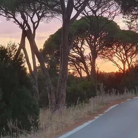 Dunes 350m From The Sandy Villa Kalogria (Achaea)