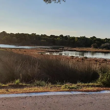 Dunes 350m From The Sandy * Kalogria (Achaea)
