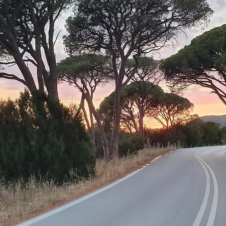 Villa Dunes 350m From The Sandy Kalogria (Achaea)