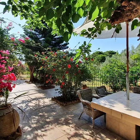 Villa Dunes 350M From The Sandy Beach Kalogria (Achaea)