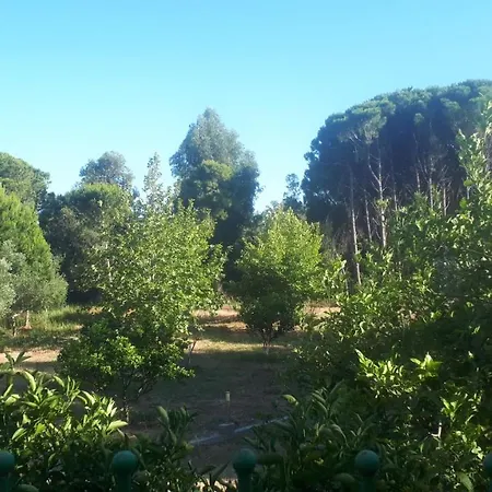 Dunes 350m From The Sandy Vila *