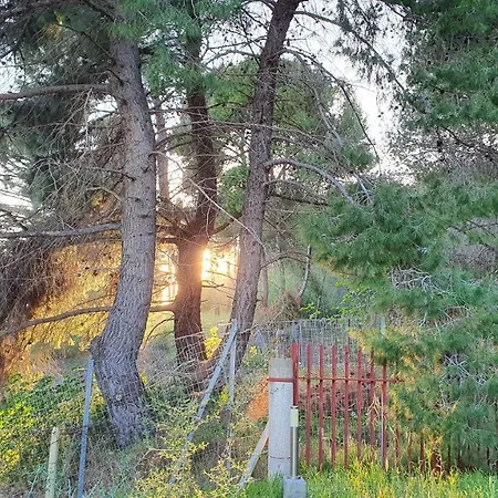 Dunes 350m From The Sandy Villa *