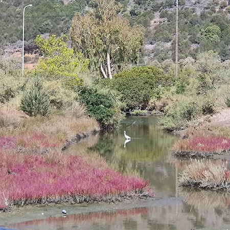 Dunes 350m From The Sandy Vila