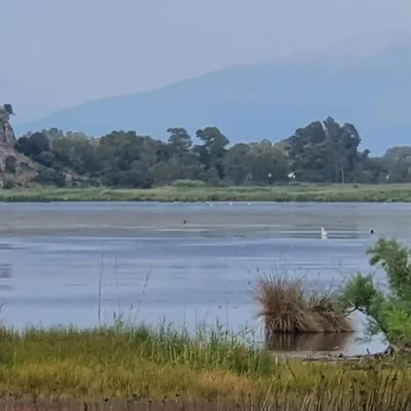Dunes 350m From The Sandy Villa Kalogria (Achaea)