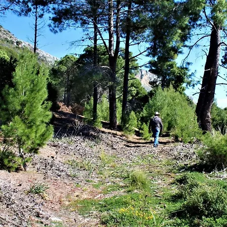 Dunes 350m From The Sandy Villa Kalogria (Achaea)
