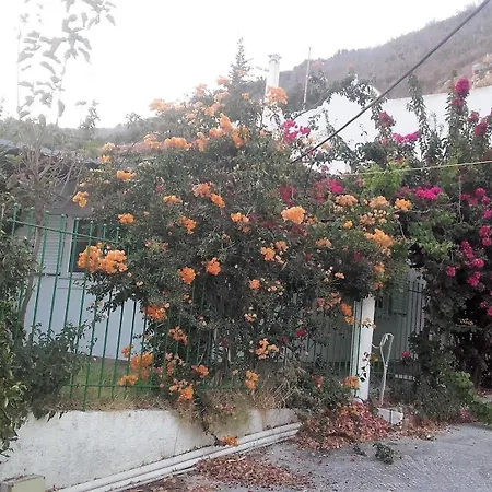 Villa Dunes 350m From The Sandy Kalogria (Achaea)