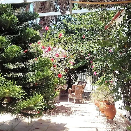 Vila Dunes 350m From The Sandy Kalogria (Achaea)