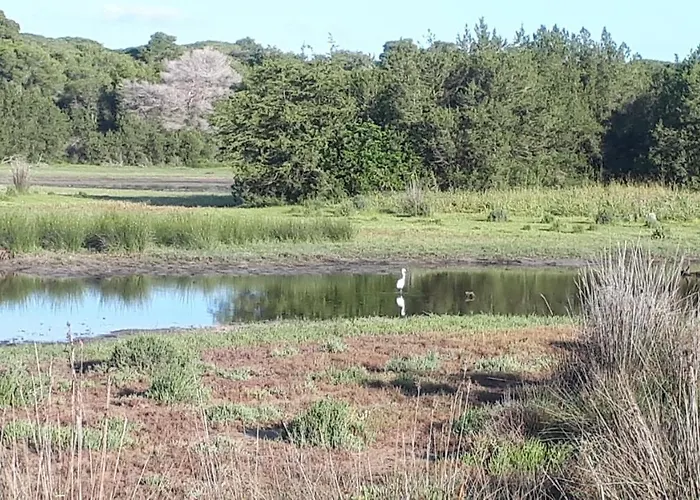 Dunes 350m From The Sandy
