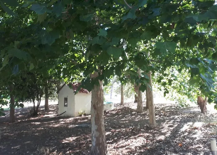 Villa Dunes 350m From The Sandy Kalogria (Achaea)