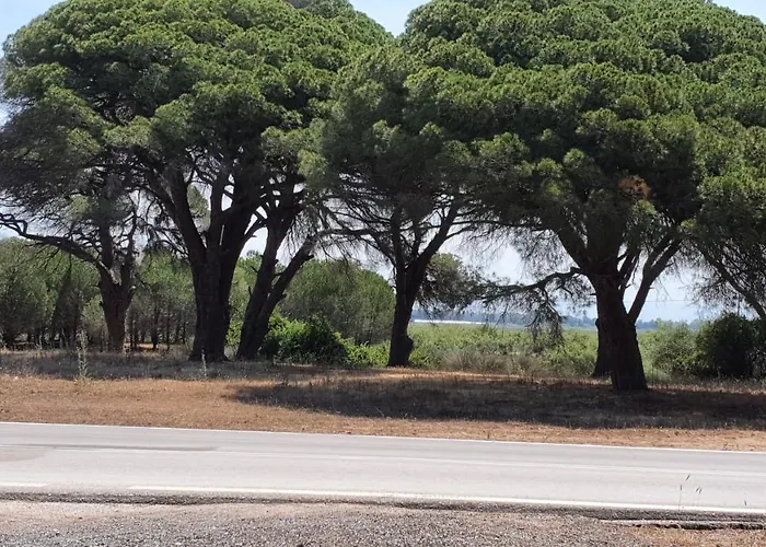 Dunes 350m From The Sandy