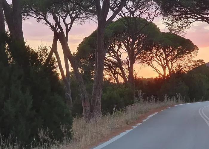 Dunes 350m From The Sandy Villa Kalogria (Achaea)