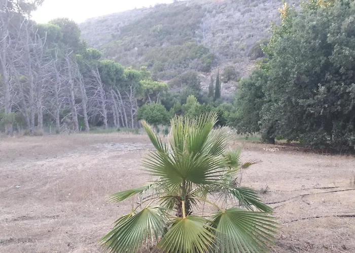 Dunes 350m From The Sandy Kalogria (Achaea)