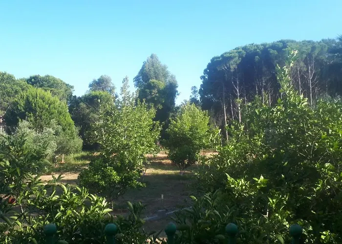 Dunes 350m From The Sandy Villa *