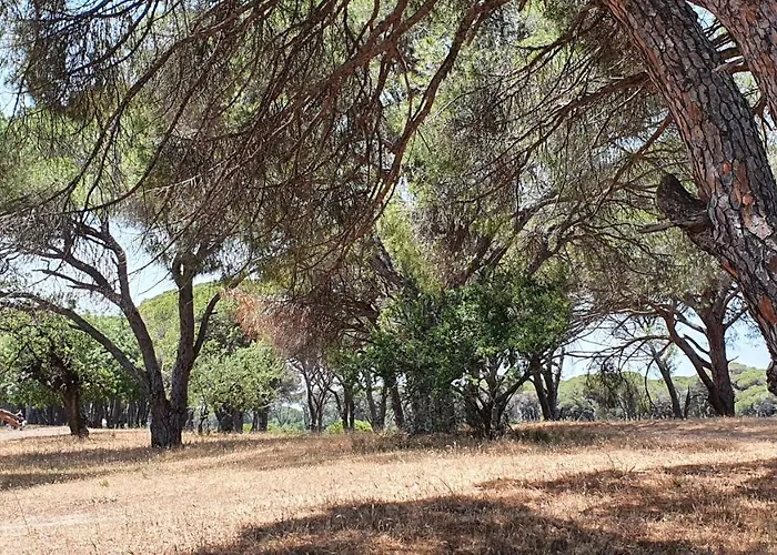 Dunes 350m From The Sandy *